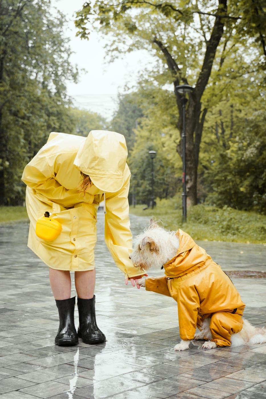A woman and her dog in matching yellow raincoats shaking hands