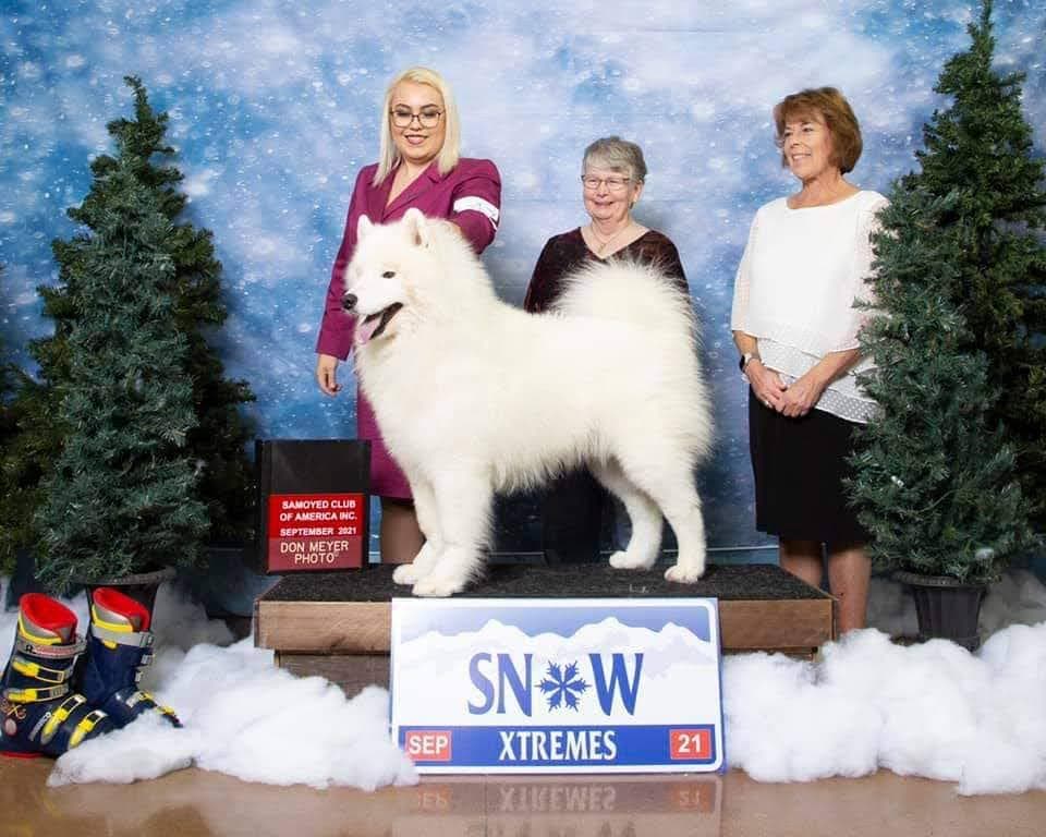 Juniper, a Wolfsong success story